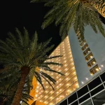 Tall hotel building lit up at night with two palm trees