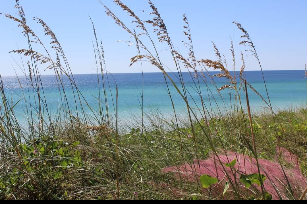 Dunes with water and clear sky in the background