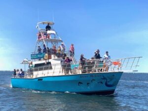 Frisky Mermaid Dolphin Tours & Pontoon Boat Rentals